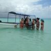 Dolphins and Snorkling shared trip 1