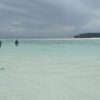 Dolphins and Snorkling shared trip 1 (3)