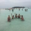 Dolphins and Snorkling shared trip 1 (4)