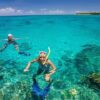 Dolphin Tour and Snorkeling at Mnemba