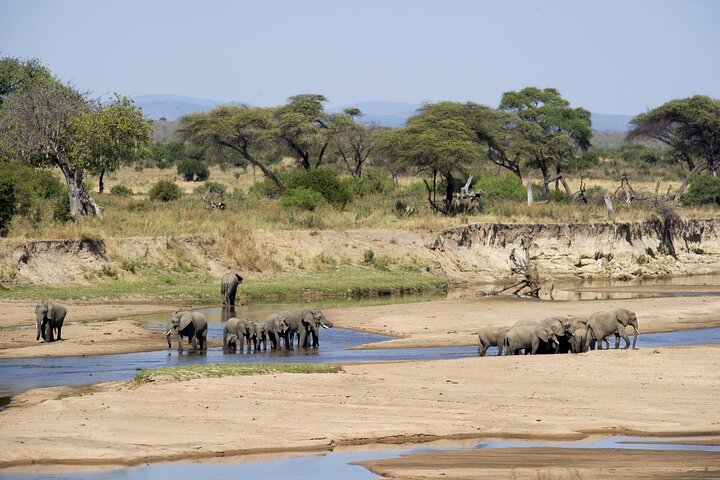 2 Days Safari to Nyerere