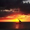 Sunset Dhow Cruise in Nungwi