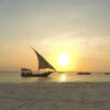 Sunset Dhow Cruise in Nungwi